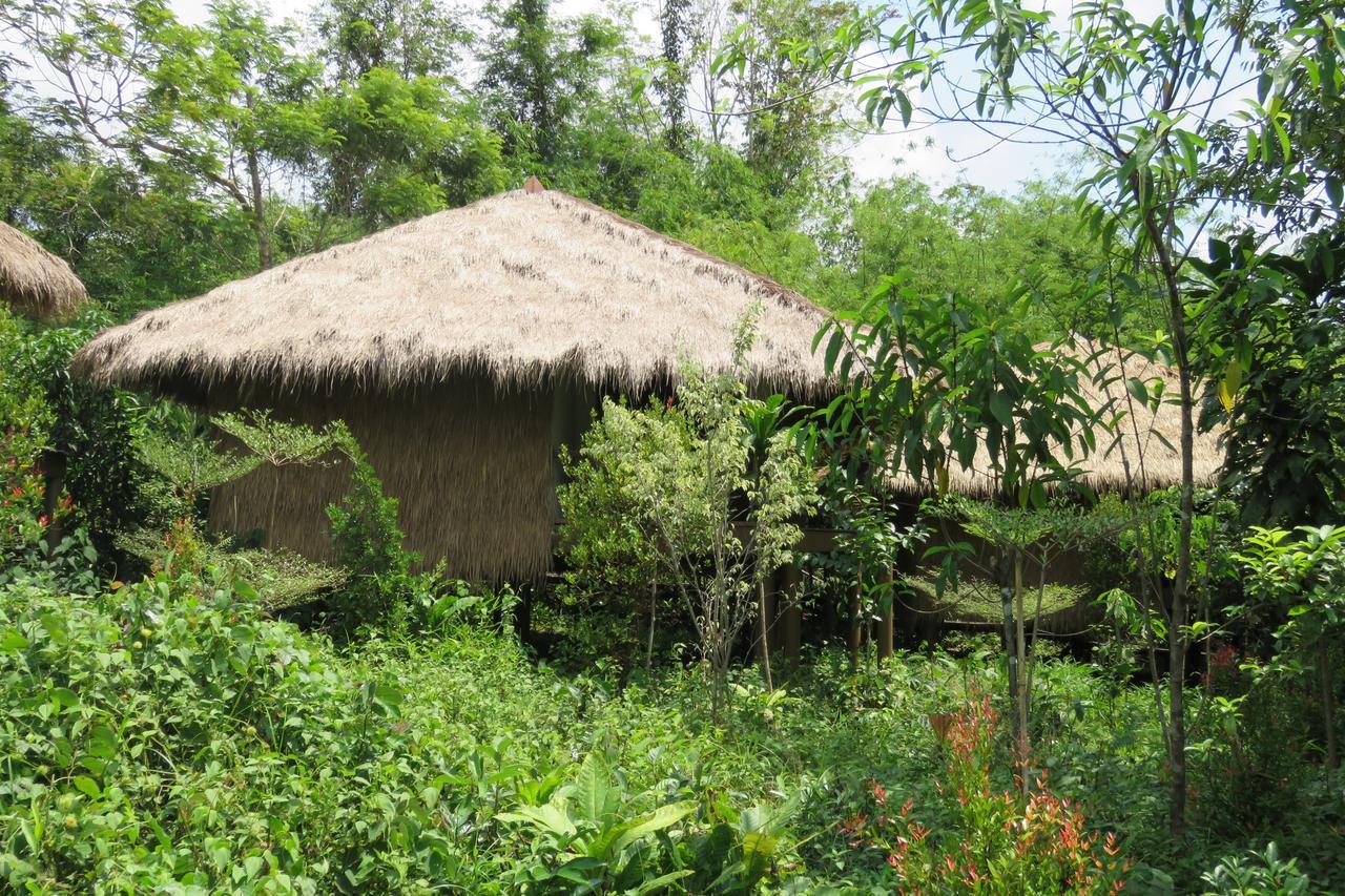 Rainbow Lodge Tatai Exteriér fotografie