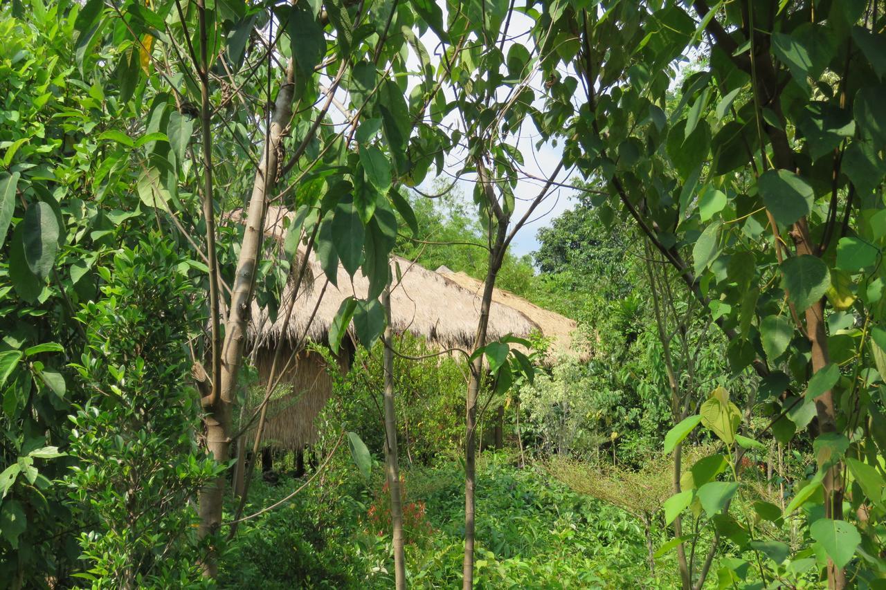 Rainbow Lodge Tatai Exteriér fotografie